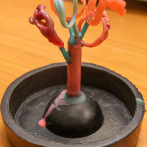 Škola šperku 4denní 15-18.2.2026 > Brno